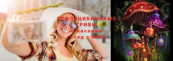 дурь Бронницы