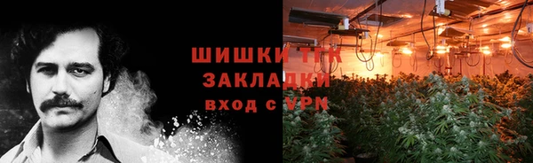 тгк Бородино