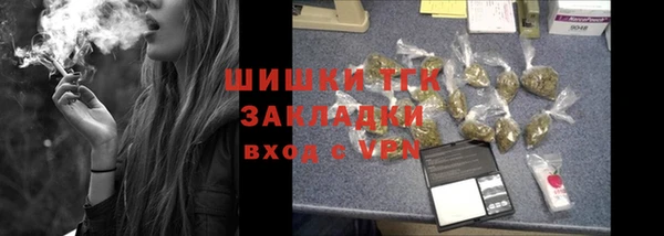 тгк Бородино