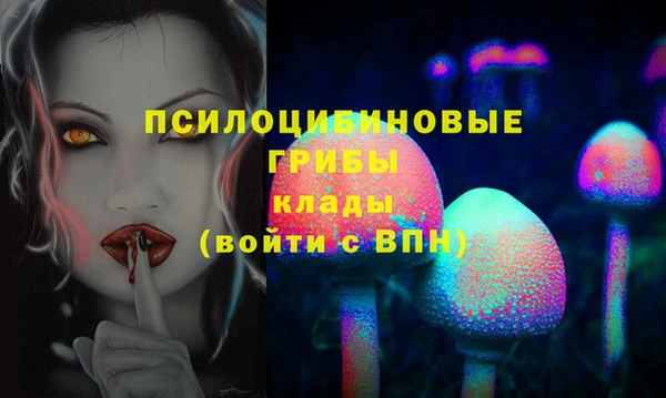 дурь Бронницы
