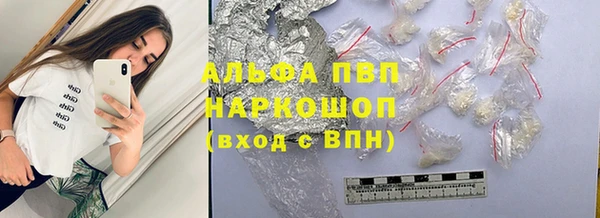 тгк Бородино